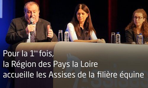 La Région des Pays la Loire accueille les Assises de la filière équine