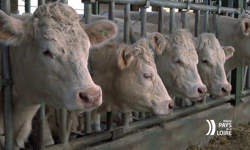 La Région soutient la modernisation de la ferme des Établières à La Roche-sur-Yon (85)