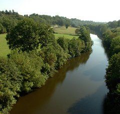 Loire bordée de verdure